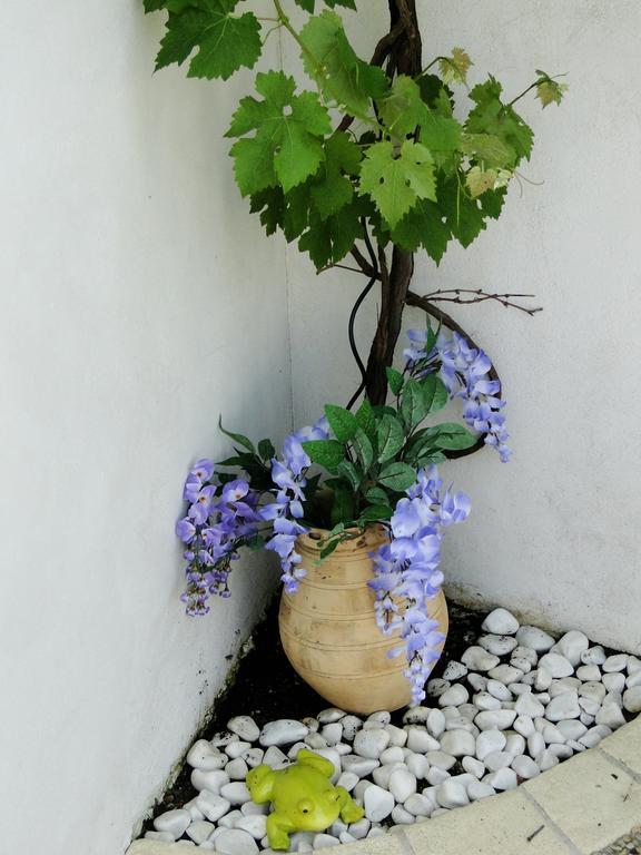 La Petite Maison Sur L'Ile De Re ลาฟร็อตต์ ภายนอก รูปภาพ