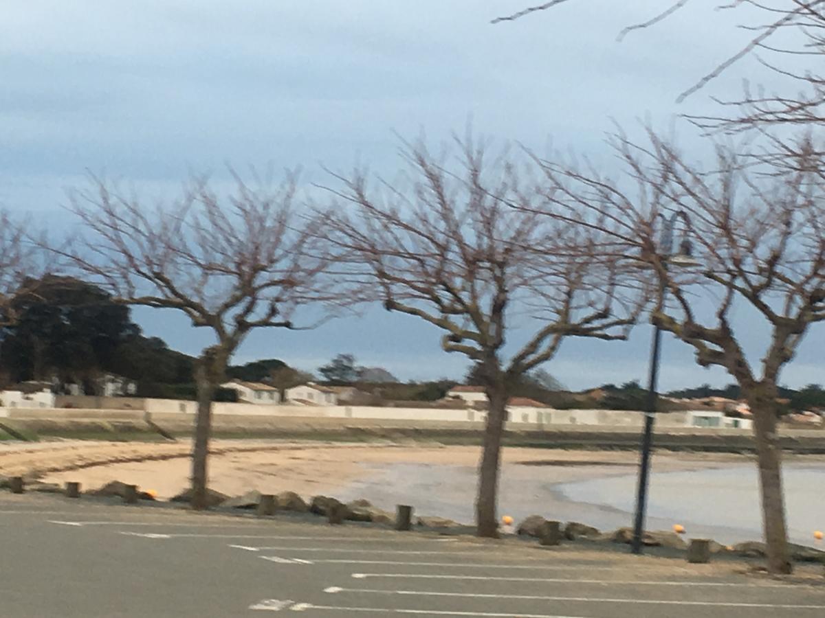 La Petite Maison Sur L'Ile De Re ลาฟร็อตต์ ภายนอก รูปภาพ